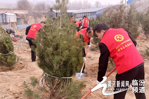 临汾市生态环境局翼城分局绿盾志愿服务队开展学雷锋志愿植树活动